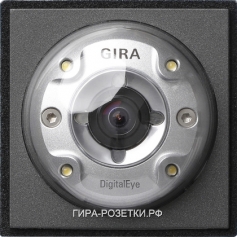 Gira TX-44 Антрацит Видеокамера цветная  для вызыв