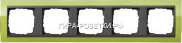 Gira EV CL Зеленый/антрацит Рамка 5-ая (215748) G2
