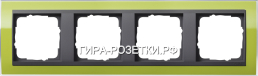 Gira EV CL Зеленый/антрацит Рамка 4-ая (214748) G2